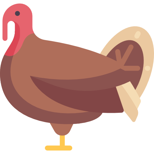 turkey fresh cuts